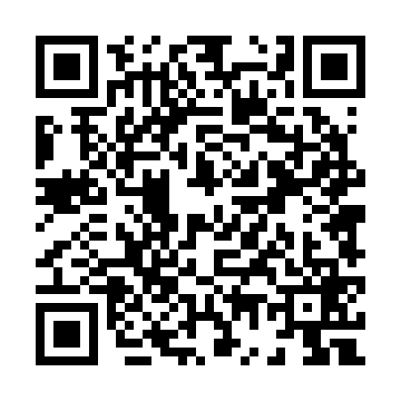 QR code for X742699