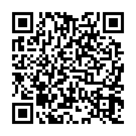 QR code for X743490