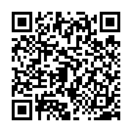 QR code for X776338