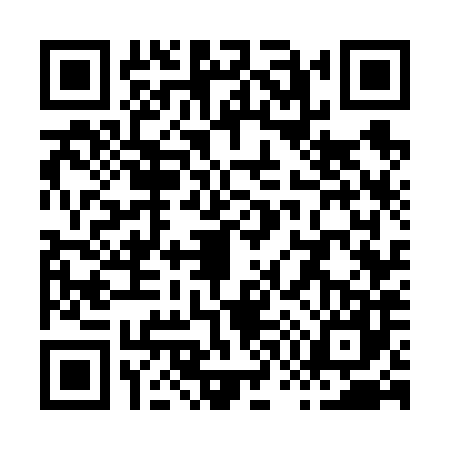 QR code for X776873