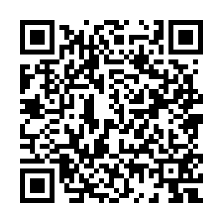 QR code for X787516
