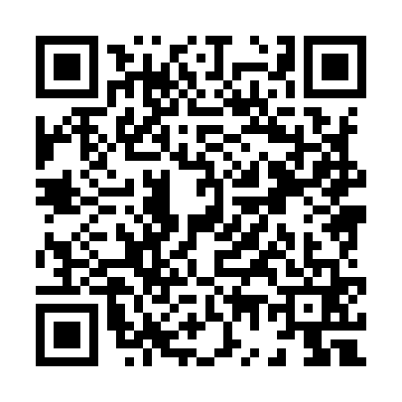 QR code for X789619