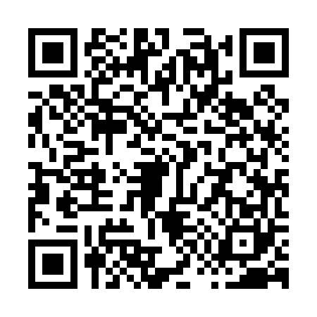 QR code for X790604