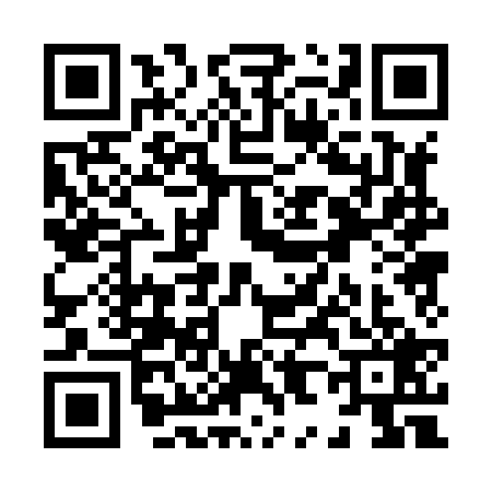QR code for X808295
