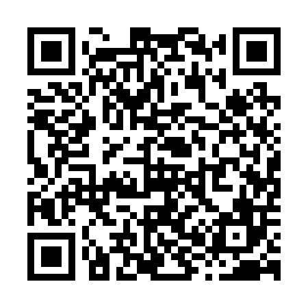 QR code for X81206