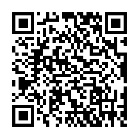 QR code for X813369