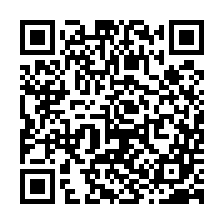 QR code for X81547
