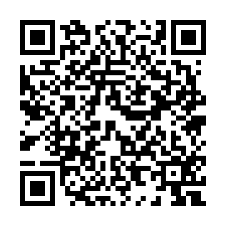 QR code for X816161