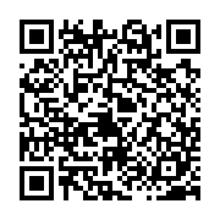 QR code for X817453