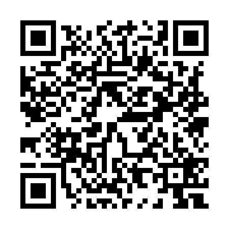 QR code for X819291