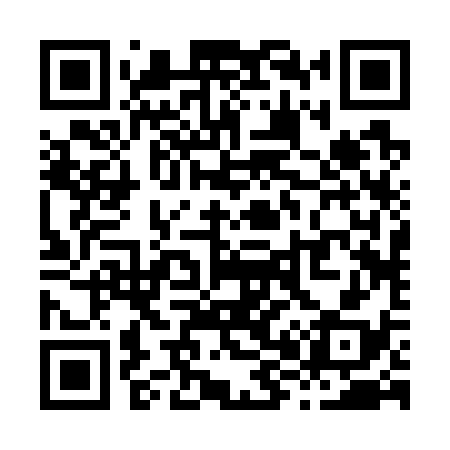 QR code for X82738