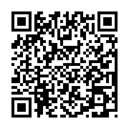 QR code for X838047