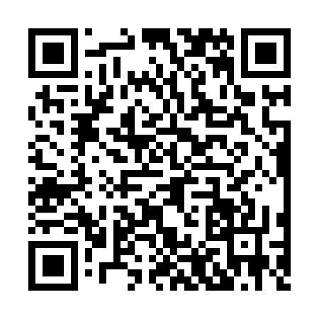 QR code for X838377