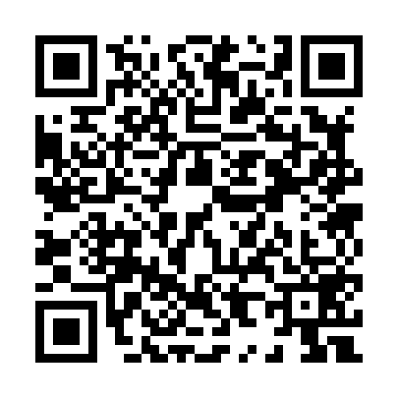 QR code for X838593