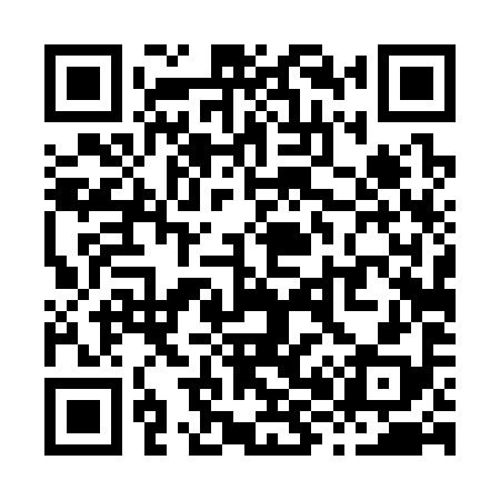 QR code for X84398