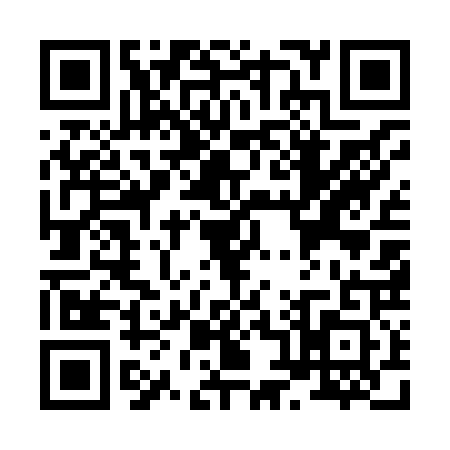 QR code for X858217