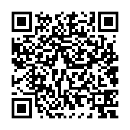 QR code for X863385