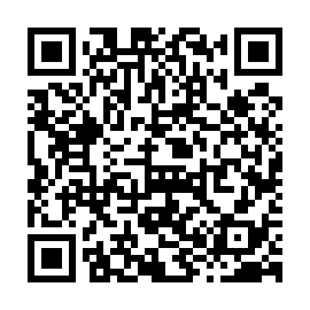 QR code for X86538