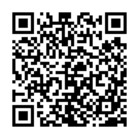 QR code for X86667