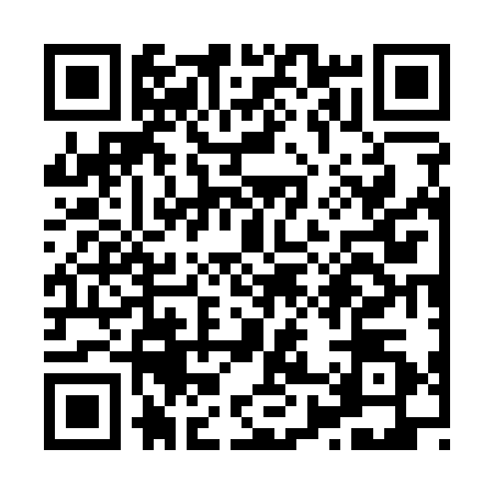QR code for X871307