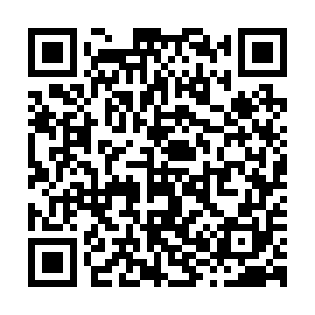 QR code for X87250