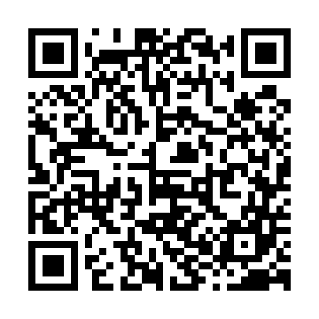 QR code for X87547
