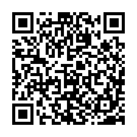 QR code for X88394