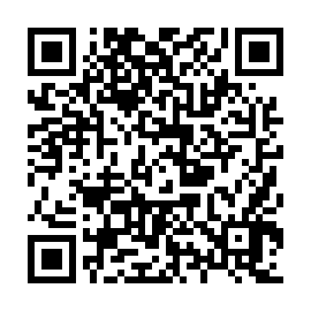 QR code for X90546
