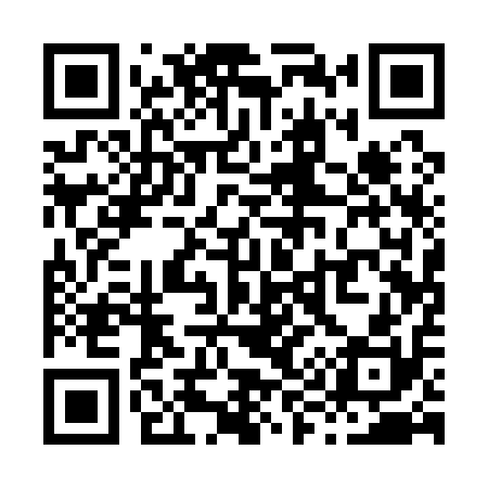 QR code for X91110