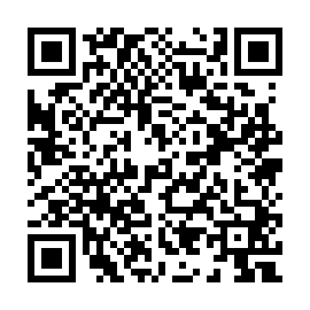 QR code for X913404
