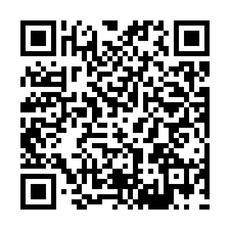 QR code for X913605