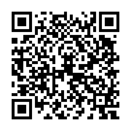 QR code for X91481