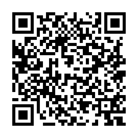 QR code for X919100