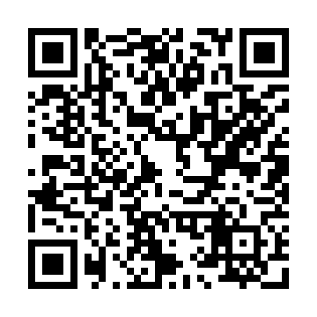 QR code for X91960