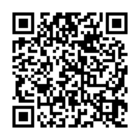 QR code for X919631