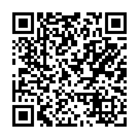 QR code for X92498