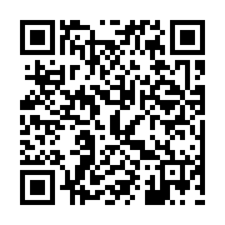 QR code for X93166