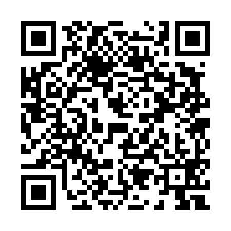 QR code for X934993