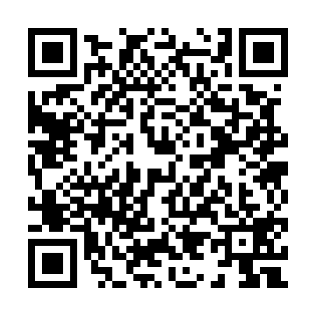 QR code for X935193