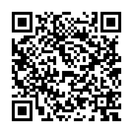 QR code for X938289