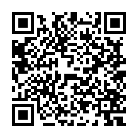 QR code for X938473