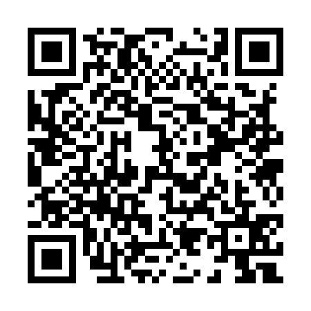 QR code for X939358