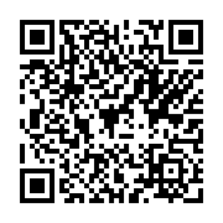 QR code for X946539