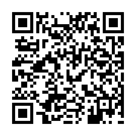QR code for X95300