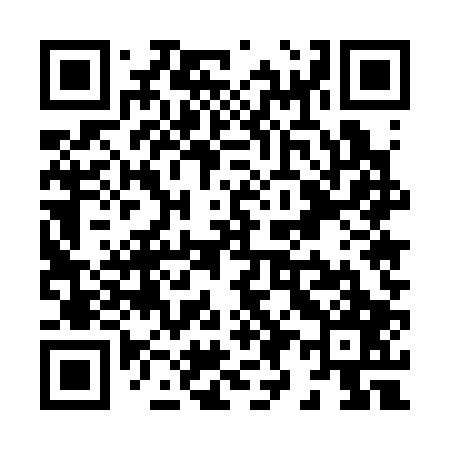 QR code for X95307