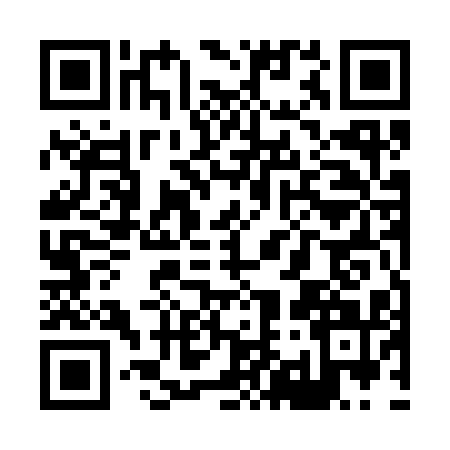 QR code for X953114