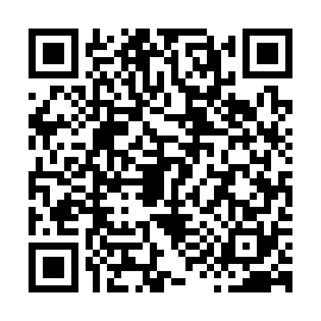 QR code for X953704