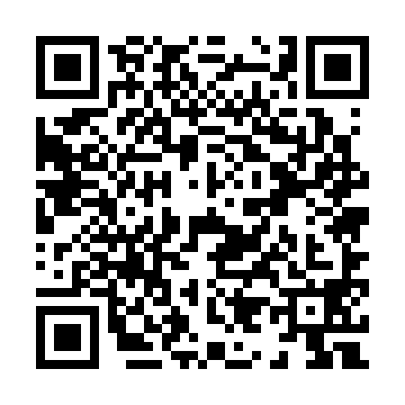 QR code for X953987