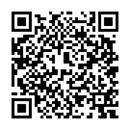 QR code for X954117