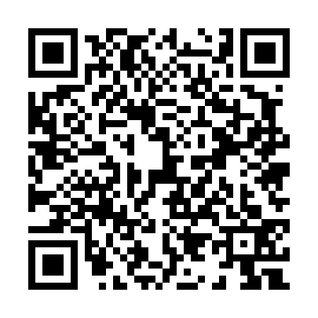 QR code for X954330